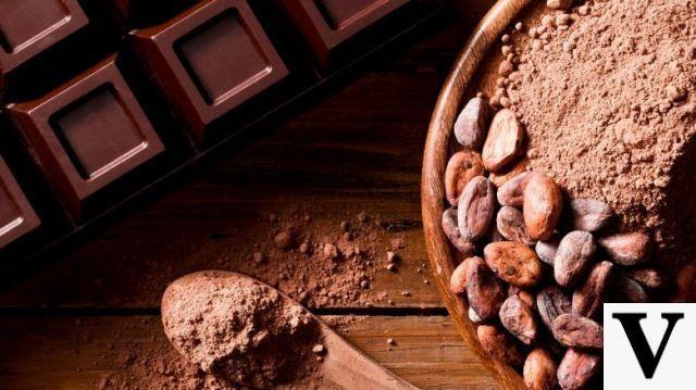 Cocoa: properties and benefits