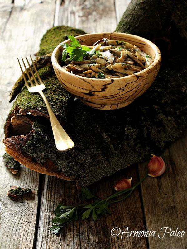 Porcini mushrooms: 20 recipes for all tastes