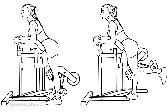 Flexión de piernas de pie, sentado y acostado | Músculos involucrados y ejecución adecuada