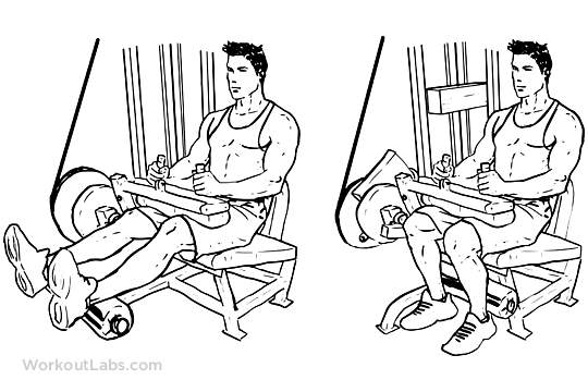 Flexão de perna em pé, sentado e deitado | Músculos envolvidos e execução adequada