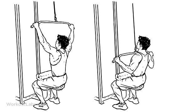 Pull Down | How is it done? Muscles involved, errors and variants