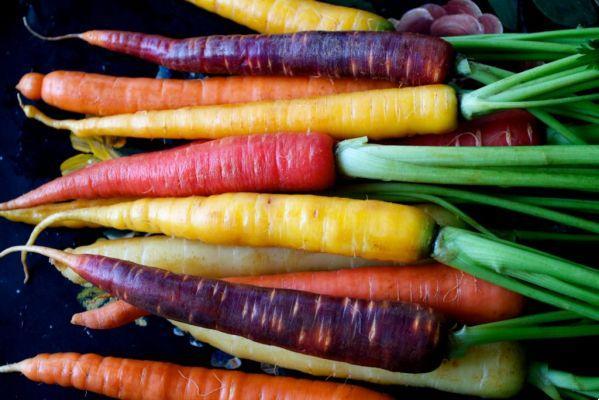 Zanahorias negras y otras variedades: características y propiedades.