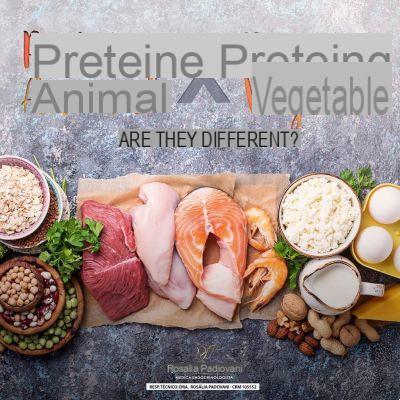 Proteínas vegetales o animales