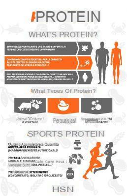 Protein and sport: what is there to know?