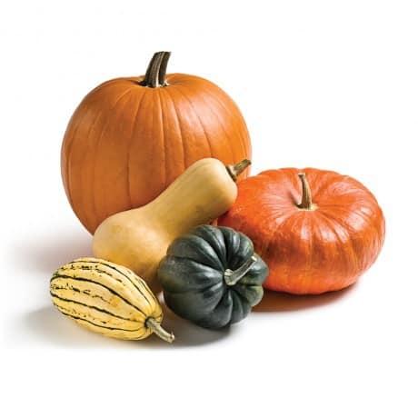 Pumpkin: which parts can I use and how