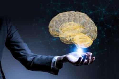 Neuroliderazgo: ¿qué es?