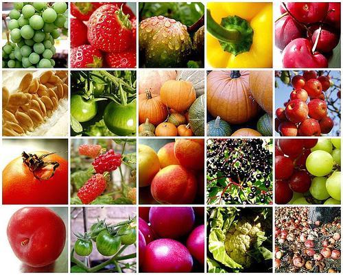 As diferenças entre frutas cítricas, drupas e bagas