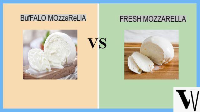 Mozzarella de bufflonne : pourquoi les gens l'aiment plus et comment choisir la meilleure