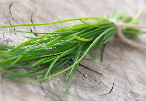 Chives: properties, nutritional values, calories