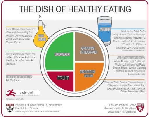 Proteínas y nutrición saludable