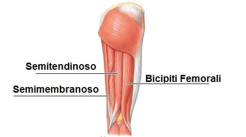 Femoral Stretching | Common Mistakes And Exercises