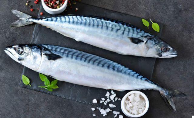 Mackerel Protein - Why Are They Noble?