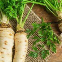 From turnip to Jerusalem artichoke: the virtues of forgotten tubers