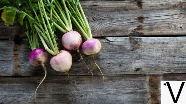 From turnip to Jerusalem artichoke: the virtues of forgotten tubers