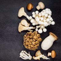 Mushrooms, how to choose them and how to eat them safely
