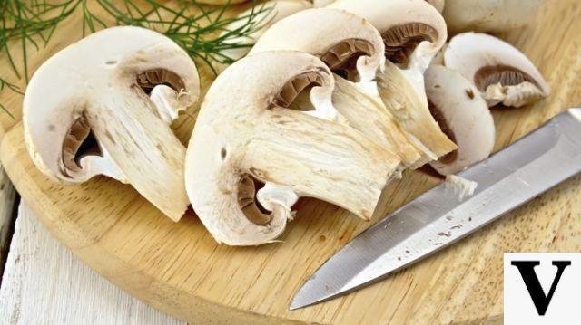 Cogumelos, como escolhê-los e como comê-los com segurança