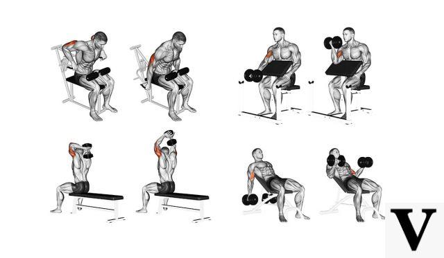 Os 6 melhores exercícios para massa de bíceps e tríceps
