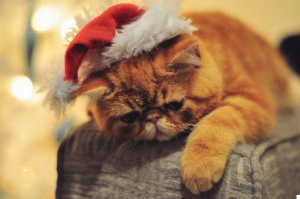 10 things we hate about Christmas and don't have the courage to admit