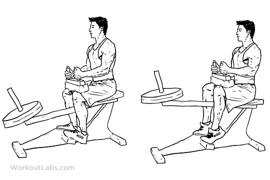 Becerro de pie y sentado | Mejores ejercicios para las pantorrillas