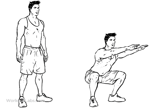Les pompes sur les jambes | Technique et muscles impliqués