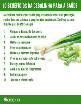 Spring onion, properties and benefits