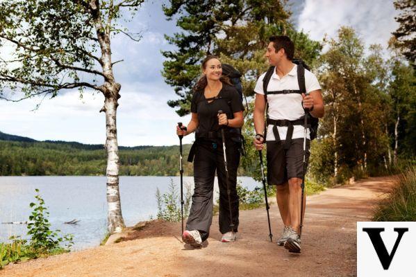 Lose Weight: Lose weight and burn fat with Nordic walking