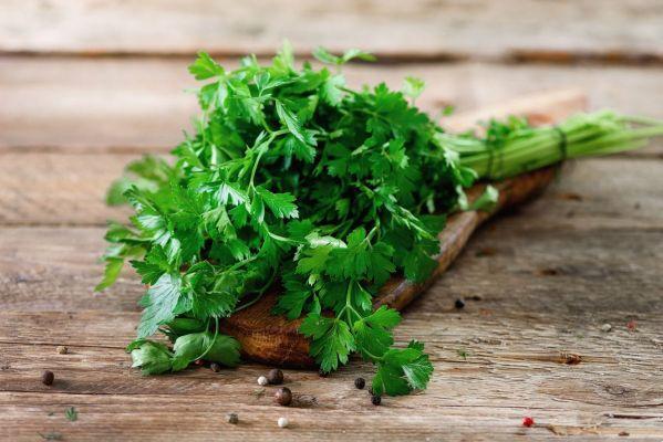 Coriander, an aid to eliminate toxins
