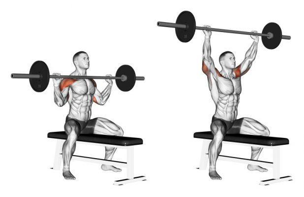 Slow forward with standing barbell