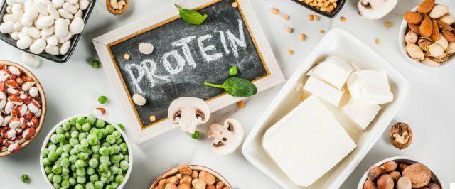 Importância das proteínas no treinamento
