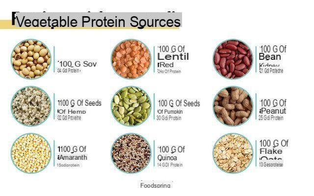 Vegetable proteins
