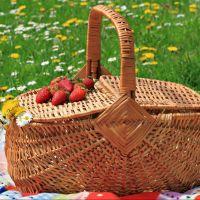 Dieta: el menú de picnic ligero
