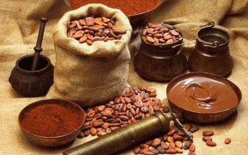 Cacao : description, propriétés, avantages