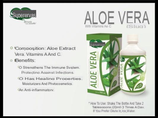 O suplemento de Aloe Vera: propriedades e uso