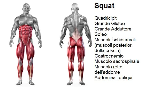 Músculos del muslo | Cómo entrenarlos correctamente