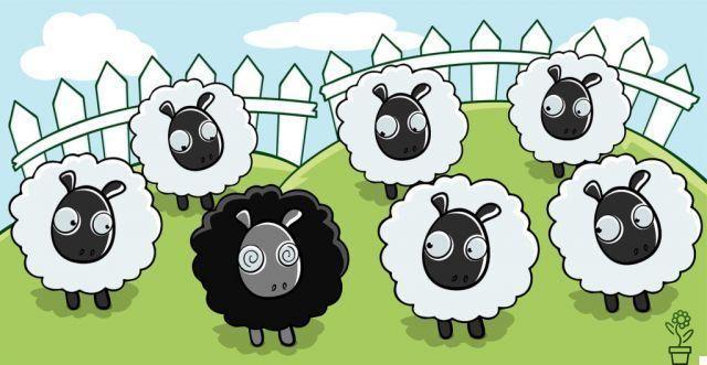 La oveja negra no se equivoca sino que es diferente