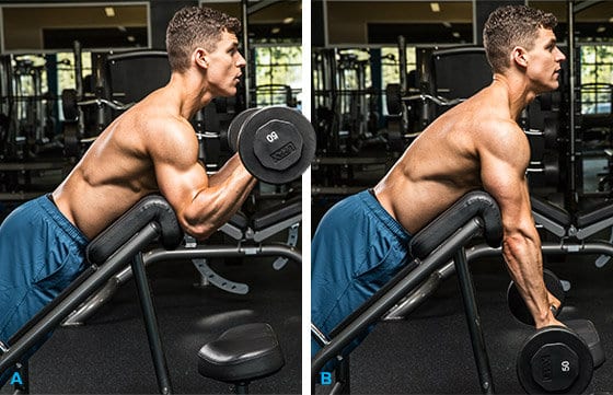 Dumbbell Curl | How is it done? All Variants