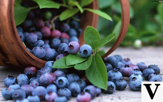 The purple-blue diet