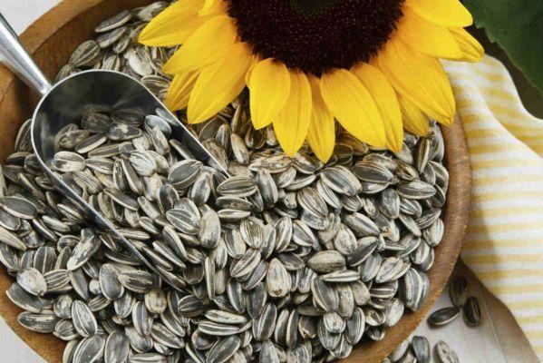 To lower cholesterol, use sunflower seeds
