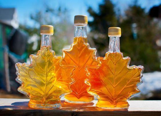 Maple syrup for weight loss, truth or legend?