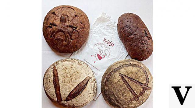 El pan siempre es más saludable: cómo elegir