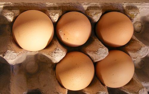Huevos: descripción, valores nutricionales, frescura.