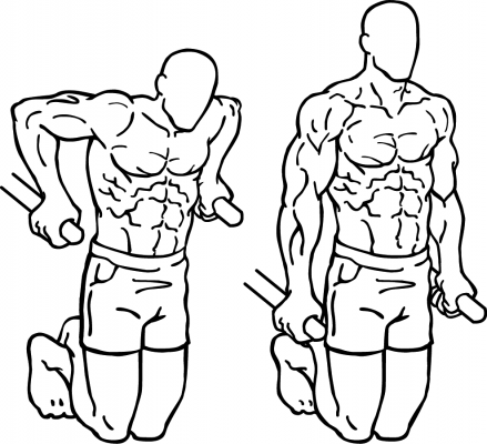 Dip parallèle (Cintrages) | Muscles impliqués et exécution correcte