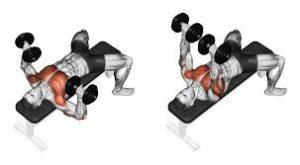 Pectoral Exercises with Tools