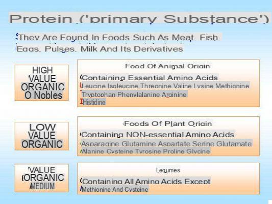 Proteínas, aminoácidos esenciales y valor biológico