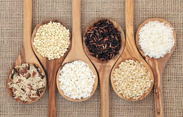 Rice, types and differences