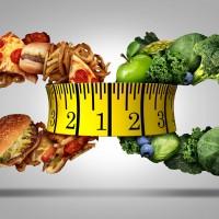 Lose weight in a healthy way with the holistic diet
