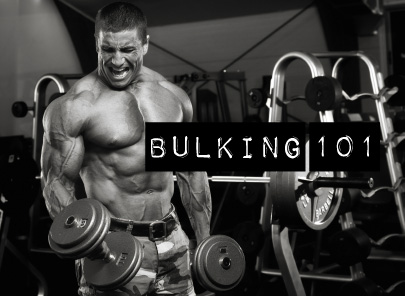 Bulking and Insulin | Theoretical Approach to Mass Increase