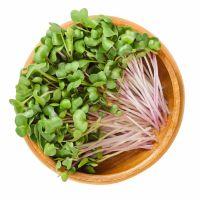 Sprouts: which ones to eat and how to cook them