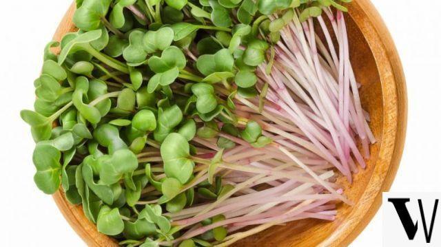 Sprouts: which ones to eat and how to cook them