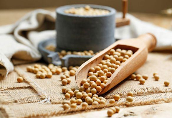 Yellow soy: benefits and how to use it